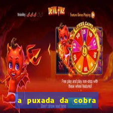 a puxada da cobra no jogo do bicho